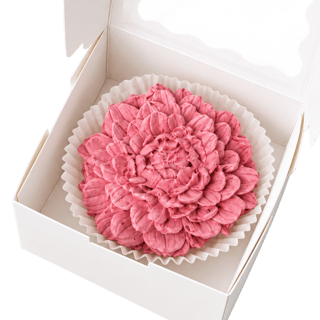Chrysanthemum zefir flower